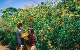Kinh nghiệm du lịch vườn quốc gia Ba Vì cho khách du lịch lần đầu