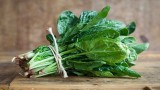 Spinach là gì ? Nguồn gốc Rau Spinach và những lợi ích của Rau