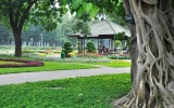 Top 10 công viên đẹp ở TP HCM làm nơi vui chơi mỗi dịp cuối tuần