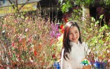 Tổng hợp chợ hoa tết Hà Nội năm 2020 tết canh tý đẹp và giá rẻ nhất