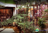 Top 10 Quán cafe nhiều cây xanh TPHCM yên bình, thư giãn